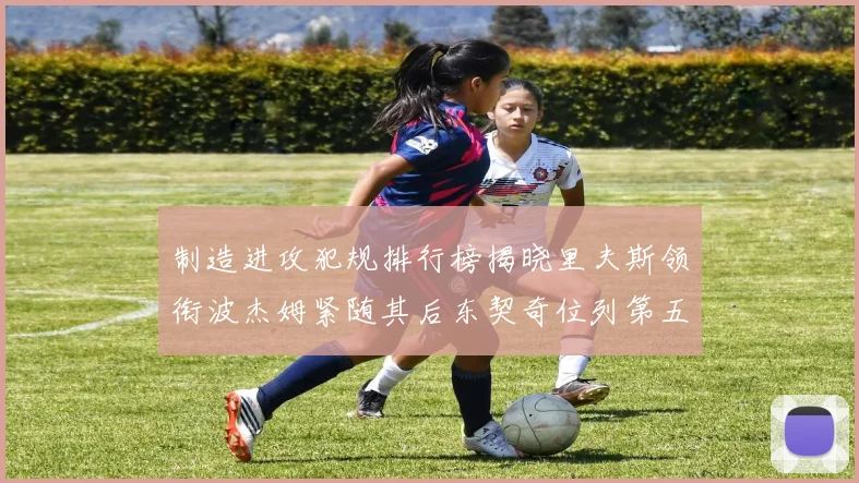 制造进攻犯规排行榜揭晓里夫斯领衔波杰姆紧随其后东契奇位列第五